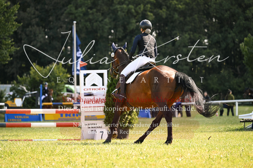 DSC_8860 | Pferde- und Turnierfotografie in Westsachsen. Pferdeportraits, Auftragszeichnungen und intuitive Kunst.
