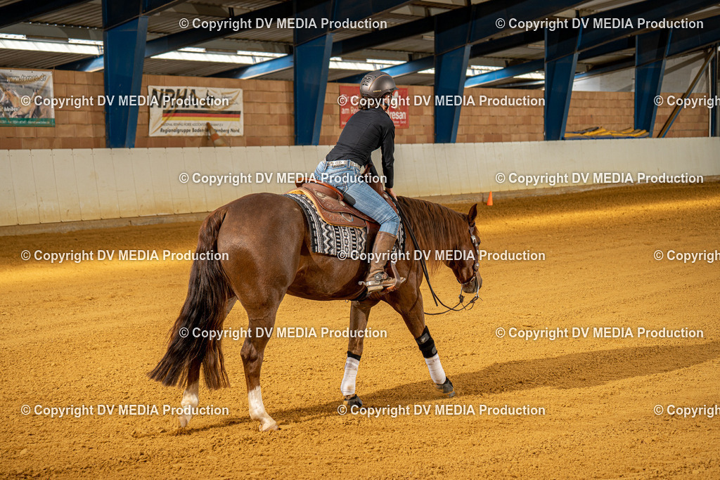 MIT00826 | dv-media-shop - Realisiert mit Pictrs.com