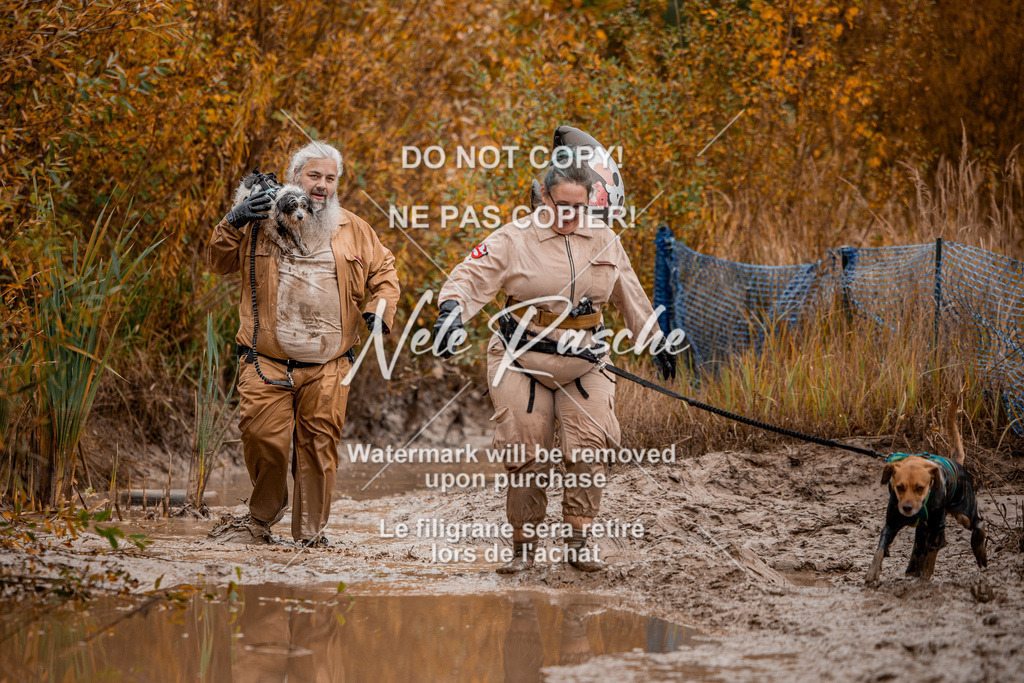 nelerasche_Creepy2025_Sa11-12_08 | nelerasche