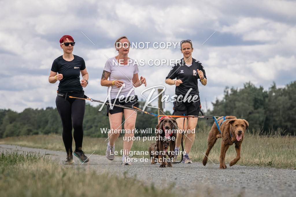 nelerasche_BuHu2026_SaCC1100-1200_233 | nelerasche