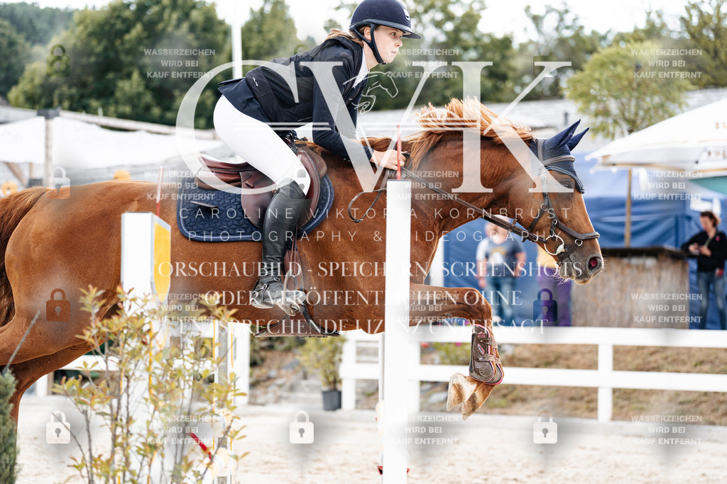 CK902669 | Turnierfotografie Pferdefotografie Trier Rheinland-Pfalz Pferdesport Reitsport Tierfotografie Sportfotografie Pferdevideo Pferdevideografie Equestrianvideography equestrianphotography  - Realisiert mit Pictrs.com