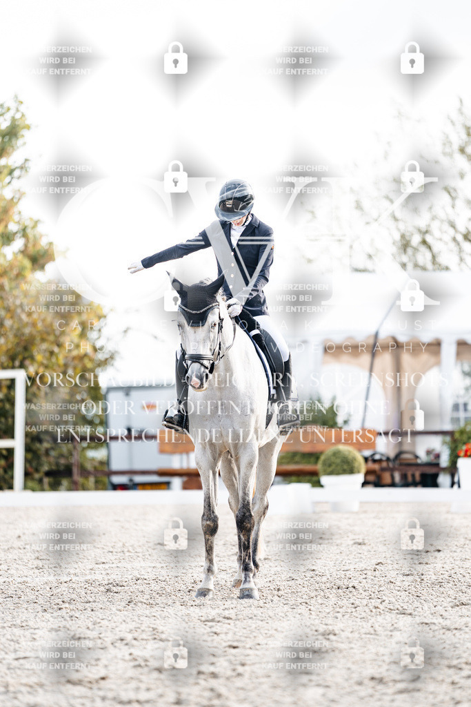 CK900602 | Turnierfotografie Pferdefotografie Trier Rheinland-Pfalz Pferdesport Reitsport Tierfotografie Sportfotografie Pferdevideo Pferdevideografie Equestrianvideography equestrianphotography  - Realisiert mit Pictrs.com