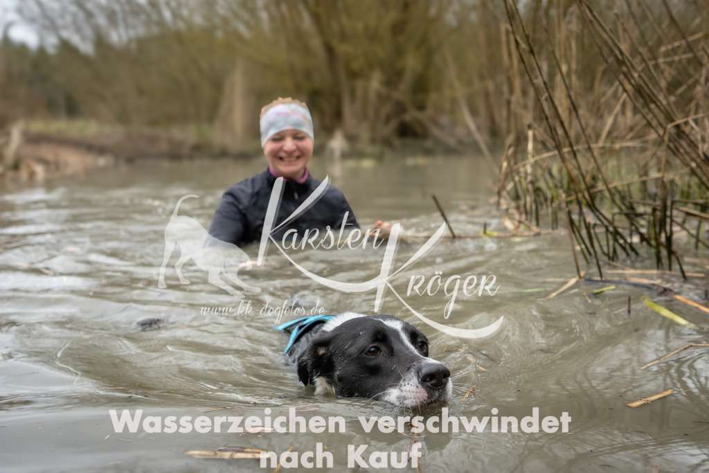 1258_ZZ93614 | kk-dogfotos