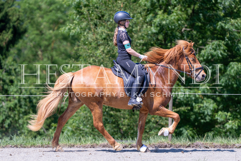 KAI05352 | Ihr sucht einen Fotografen für eure nächste OSI? Ich begleite auch euer Turnier für Islandpferde fotografisch.  - Realisiert mit Pictrs.com