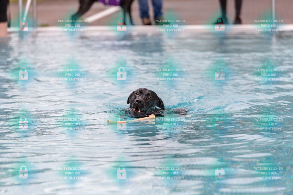 _HP_6132_1000o | HetPix, HetPix Fotodesign, Fotografie, Fotodesign, Webshop, Sportfotografie, Portraitfotografie, Onlineshop, Sportfotografie, Polch, Motorsportfotografie, Eventfotografie