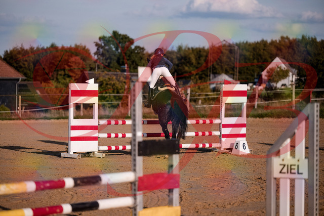 2026_10_03_Siefer-Hof_171553_Z81_13658988 | Professionelle Reitsport-, Turnier- und Eventfotografie von Robert Broda. Galerien mit ausgewählten und bearbeiteten Bildern direkt online ansehen und bestellen.