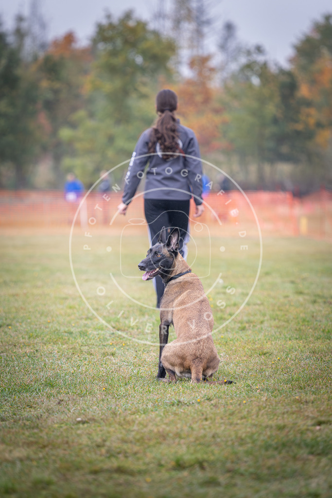 Pfotenfotografie_DV3A8803 | Hundefotografie, Tierfotograf, Pfotenfotografie, Fotoshooting Hund, Hunde Portrait, Hundesport, Hundeportraits, Heideshooting, Hunde, Sportfotograf, Hundefotograf, Turnierhundsport, THS,  - Realisiert mit Pictrs.com