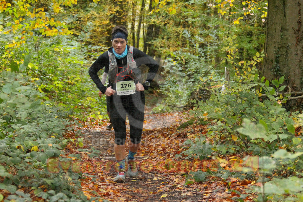 251026_1331_EV4_6954 | Sportfotografie im Rhein-Sieg Kreis, Köln, Bonn, NRW, Rheinland Pfalz, Hessen, etc. Unser Tätigkeitsfeld umfasst den Laufsport vom Volkslauf über den Marathon, Duathlon, Triathon bis zum Ultralauf wie Kölnpfad Ultra oder Schindertrail.