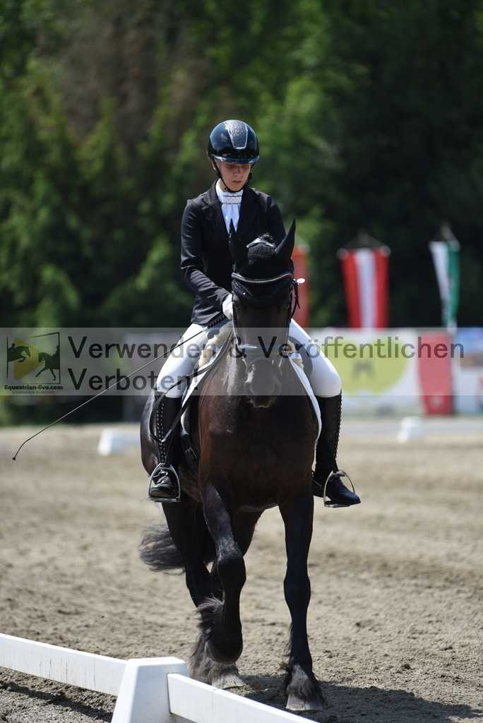 DSC_0537 | equestrian-live-com