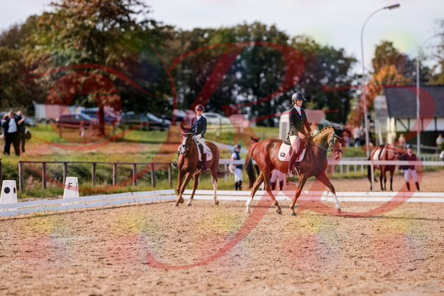 2026_10_03_Siefer-Hof_133150_Z81_86800821 | Professionelle Reitsport-, Turnier- und Eventfotografie von Robert Broda. Galerien mit ausgewählten und bearbeiteten Bildern direkt online ansehen und bestellen.