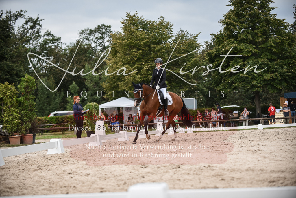 DSC_8427 | Pferde- und Turnierfotografie in Westsachsen. Pferdeportraits, Auftragszeichnungen und intuitive Kunst.