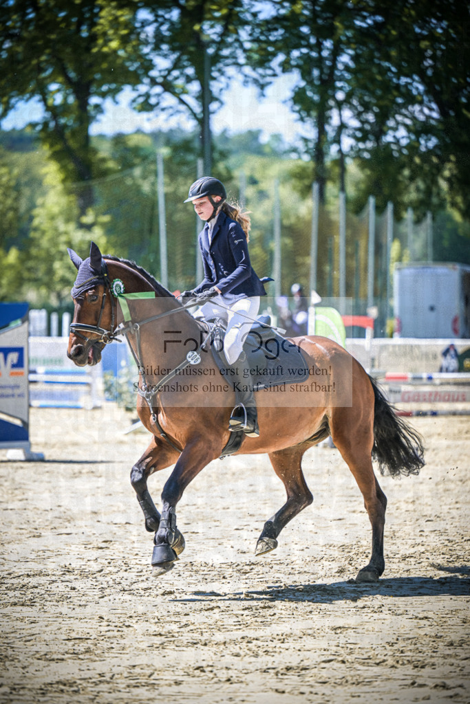 DOS_0683 | Entdecke hochwertige Reitturnierfotos von Foto Oger. Professionell, emotional und authentisch – jetzt Lieblingsmomente im Shop bestellen.Deutschlandweite Turnierfotografie. - Realisiert mit Pictrs.com