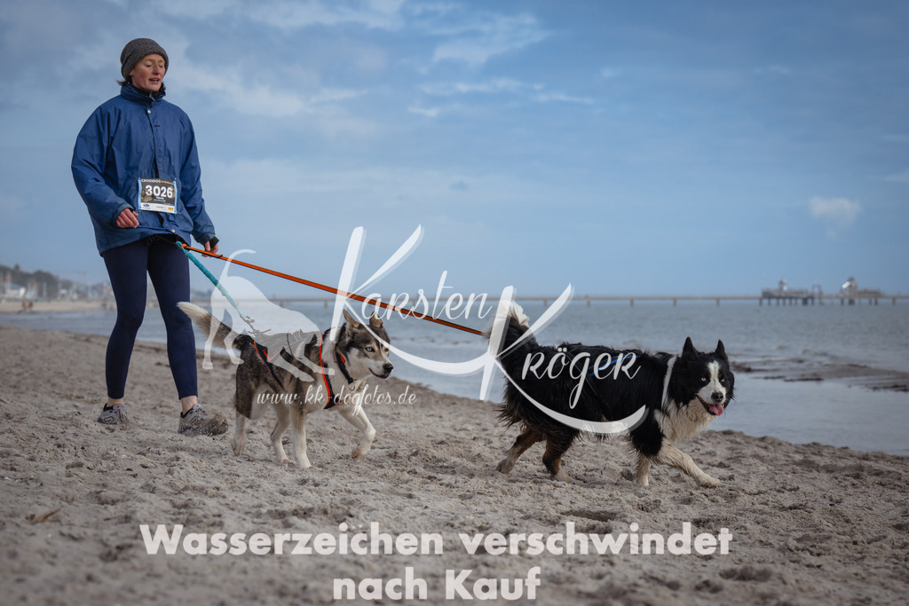 1236_ZZ97779 | kk-dogfotos