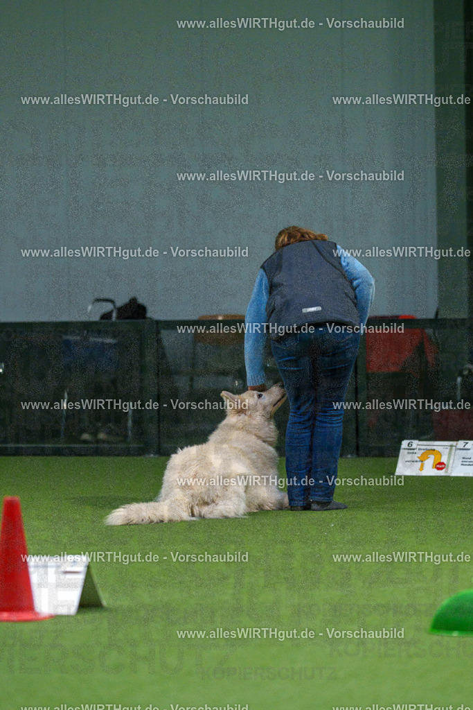 7R500150 | Professionelle Tierfotografie in Mönchengladbach von Daniel Wirth (allesWIRTHgut). Liebevolle & natürliche Bilder von Hunden & Katzen für unvergessliche Erinnerungen.