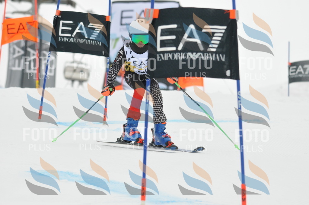 DSC_8246 | holidayphoto