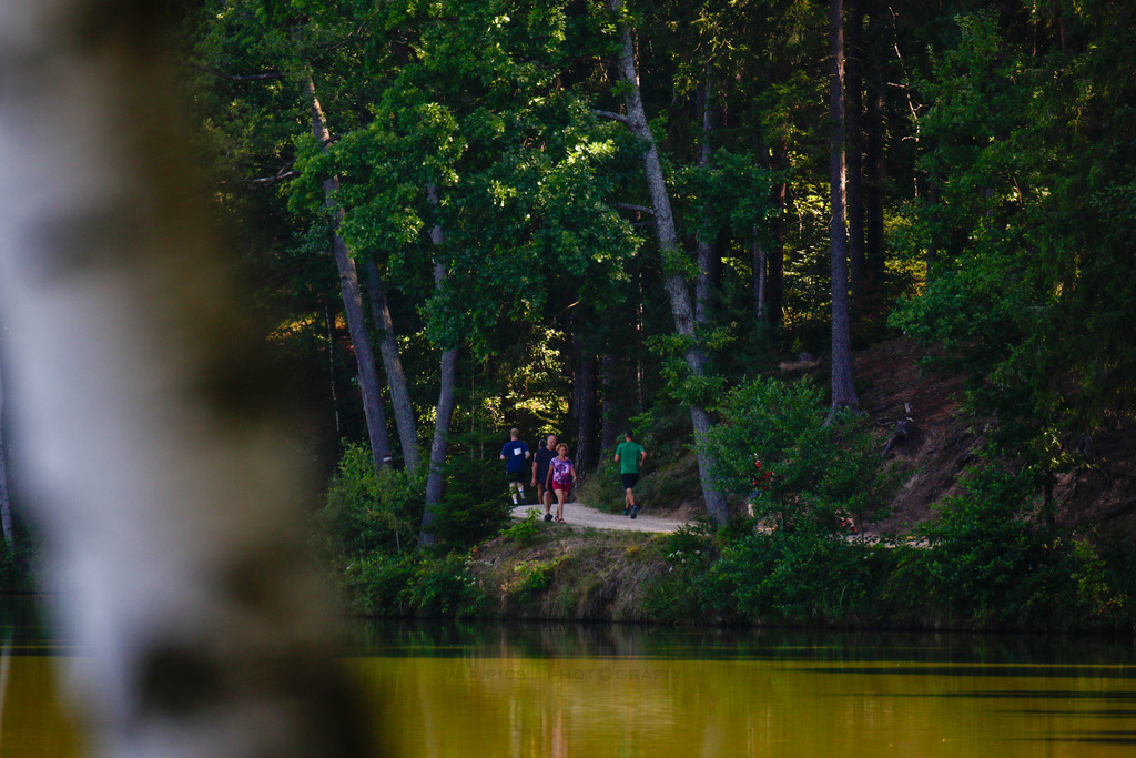 A-WILLDONER_20240727_28 | Sport-,  Presse- und Eventbegleitung!
Contact me !
