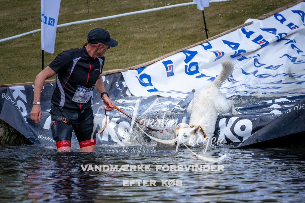 _ZZ940000950 | kk-dogfotos