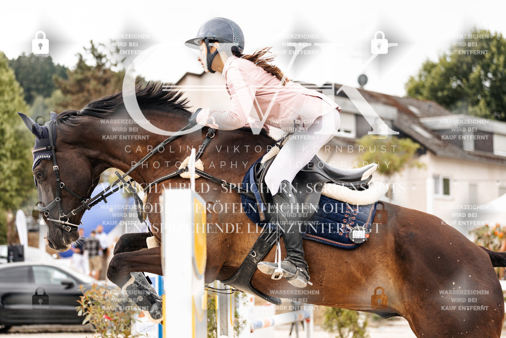 CK906308 | Turnierfotografie Pferdefotografie Trier Rheinland-Pfalz Pferdesport Reitsport Tierfotografie Sportfotografie Pferdevideo Pferdevideografie Equestrianvideography equestrianphotography  - Realisiert mit Pictrs.com