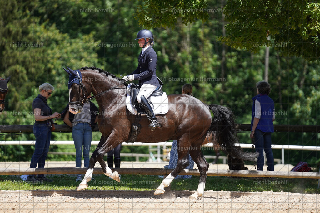 20240705-FAH03454 | Turnierbilder von Grafing, Reitsportbilder, Turnierfotos, Turnierfotografen Bayern, Pferdefotograf, Fotoagentur Herrmann
