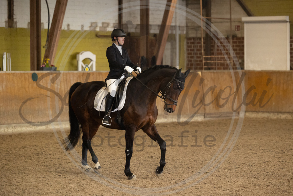 994A8923 | sabrinanicolaifotografie - Realisiert mit Pictrs.com