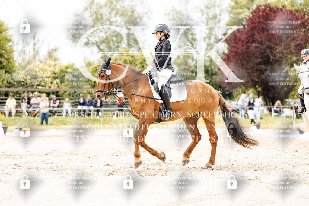 CK902742 | Turnierfotografie Pferdefotografie Trier Rheinland-Pfalz Pferdesport Reitsport Tierfotografie Sportfotografie Pferdevideo Pferdevideografie Equestrianvideography equestrianphotography  - Realisiert mit Pictrs.com
