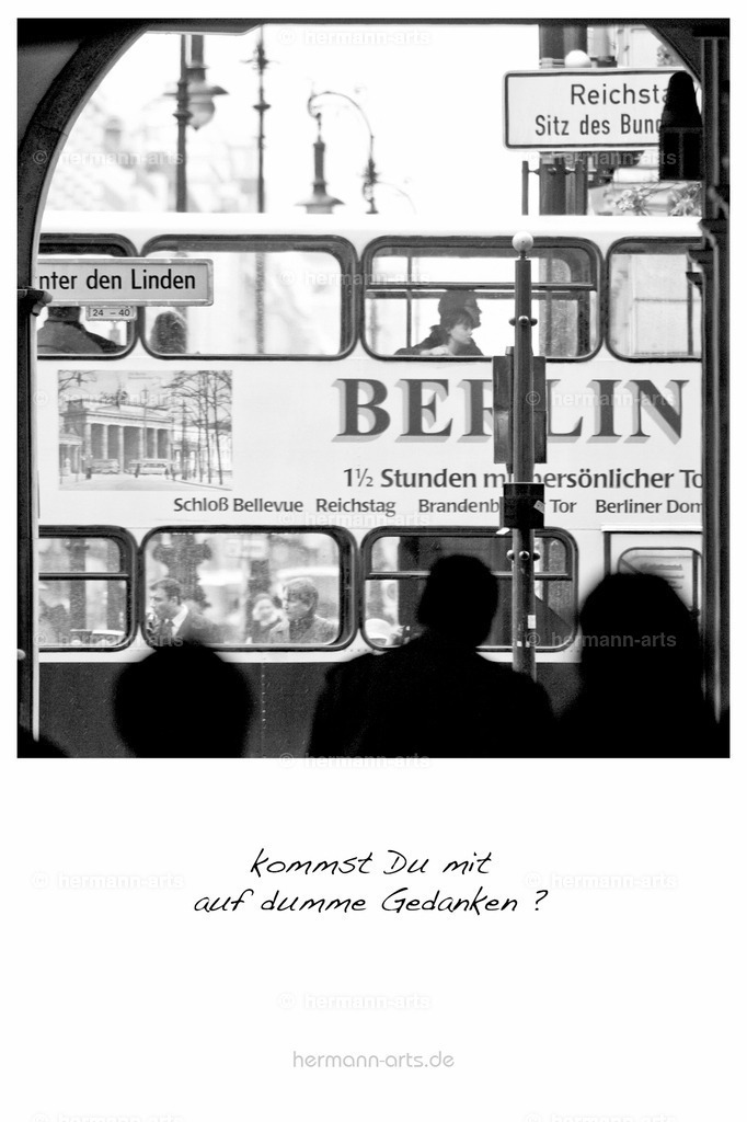 PK_Zitate_10x15_BW-126 | Photo Foto Kunst Art schwarzweiss Bilder Rheine Münster Berlin Blumen 