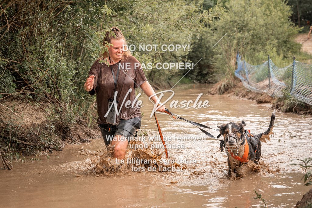 nelerasche_Hoope2026_So1000-1030_213 | nelerasche