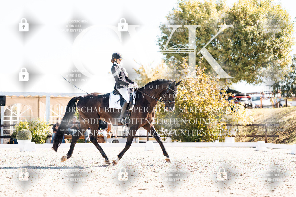 CK908966 | Turnierfotografie Pferdefotografie Trier Rheinland-Pfalz Pferdesport Reitsport Tierfotografie Sportfotografie Pferdevideo Pferdevideografie Equestrianvideography equestrianphotography  - Realisiert mit Pictrs.com