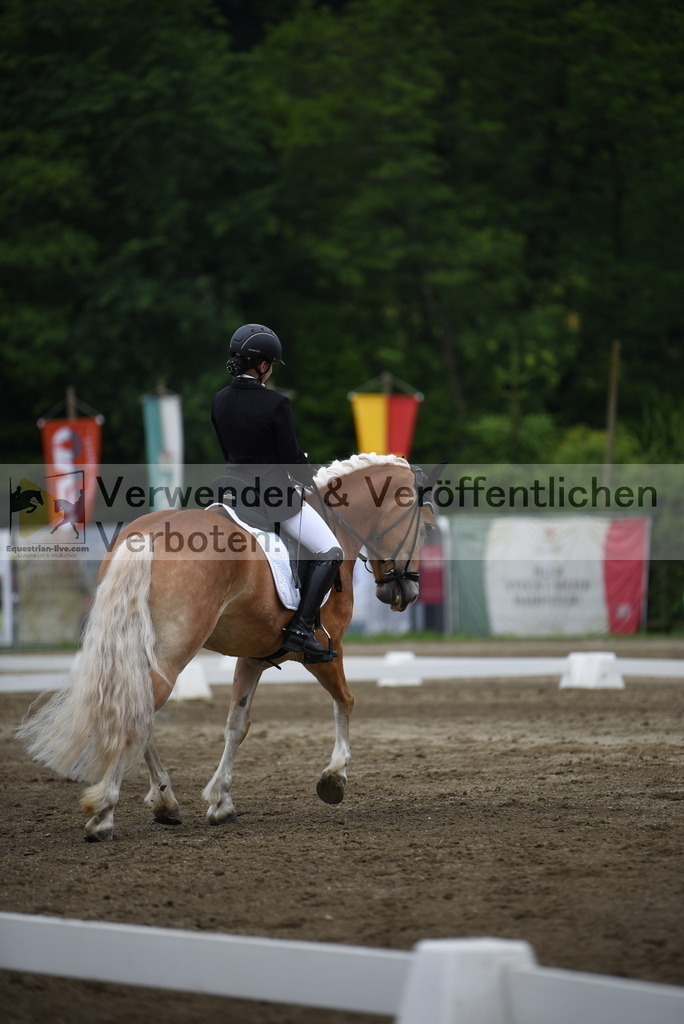 DSC_7937 | equestrian-live-com