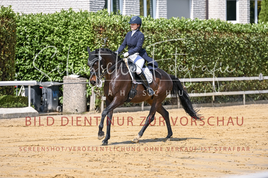 Schugtsche-Aluta25-58. Dressurprf.S1Kand.St.GeorgSpecial-61 | Schugtsche Fotografie - Realisiert mit Pictrs.com