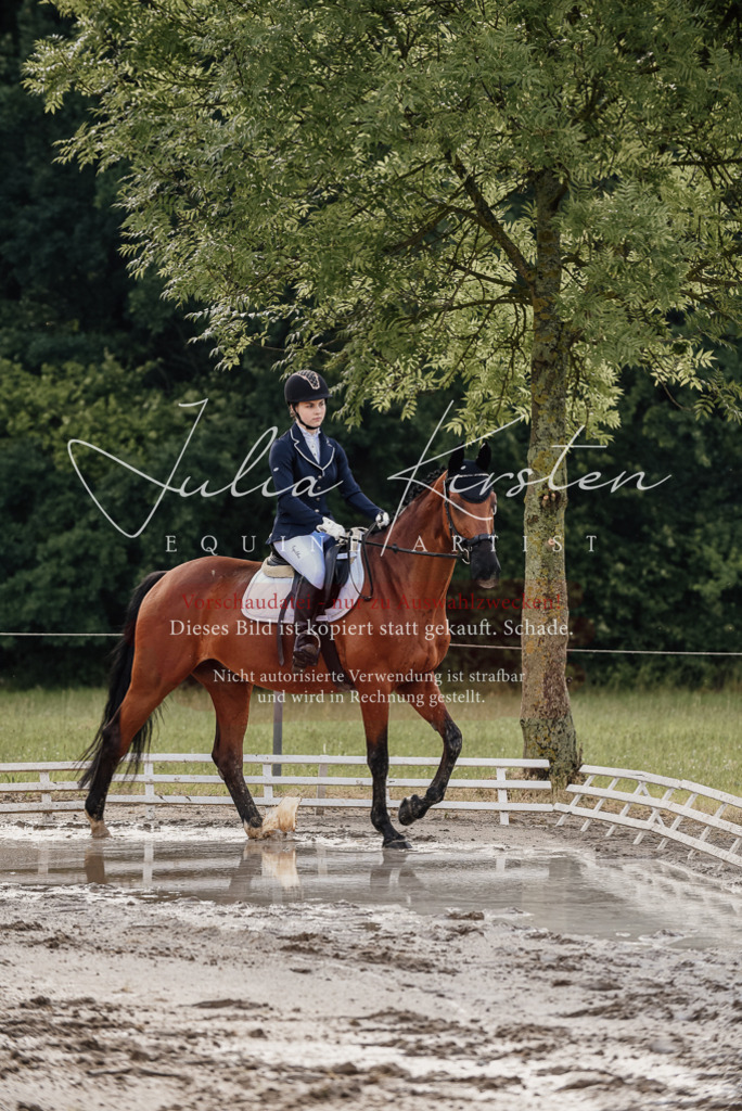 DSC_8421 | Pferde- und Turnierfotografie in Westsachsen. Pferdeportraits, Auftragszeichnungen und intuitive Kunst.