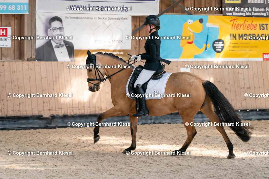2A900442 | foto-team-bernhard - Realisiert mit Pictrs.com