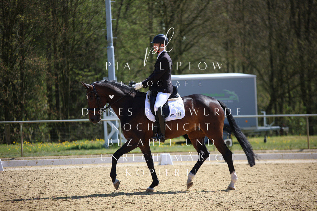 IMGT7364 | pl-fotografie