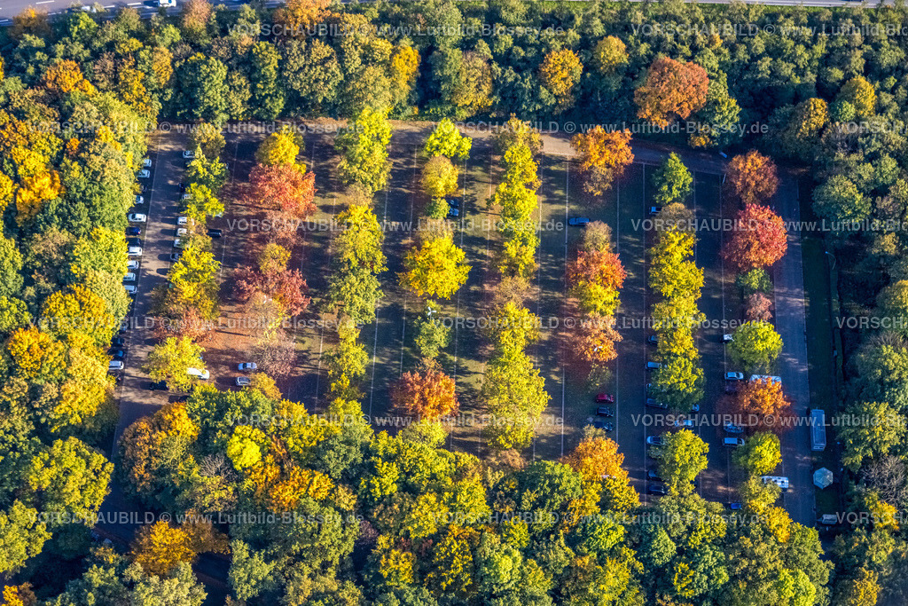 Gladbeck221005488 | Luftbild, Parkplätze, Bäume in Herbstfarben, Parkplatz am Schloss Wittringen, Butendorf, Gladbeck, Ruhrgebiet, Nordrhein-Westfalen, Deutschland