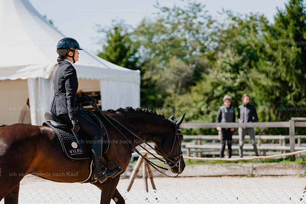 Leonie24_FHC2025-40 | working equitationturnier fotograf videograf stoibphotography marixx film working equitation deutschland reitsport turnierfotografie eventfotografie equestrian events