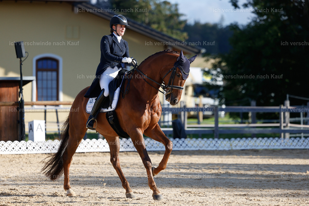 09_1-143-DRESSUR  S_  -StoibPH-5555 | working equitationturnier fotograf videograf stoibphotography marixx film working equitation deutschland reitsport turnierfotografie eventfotografie equestrian events
