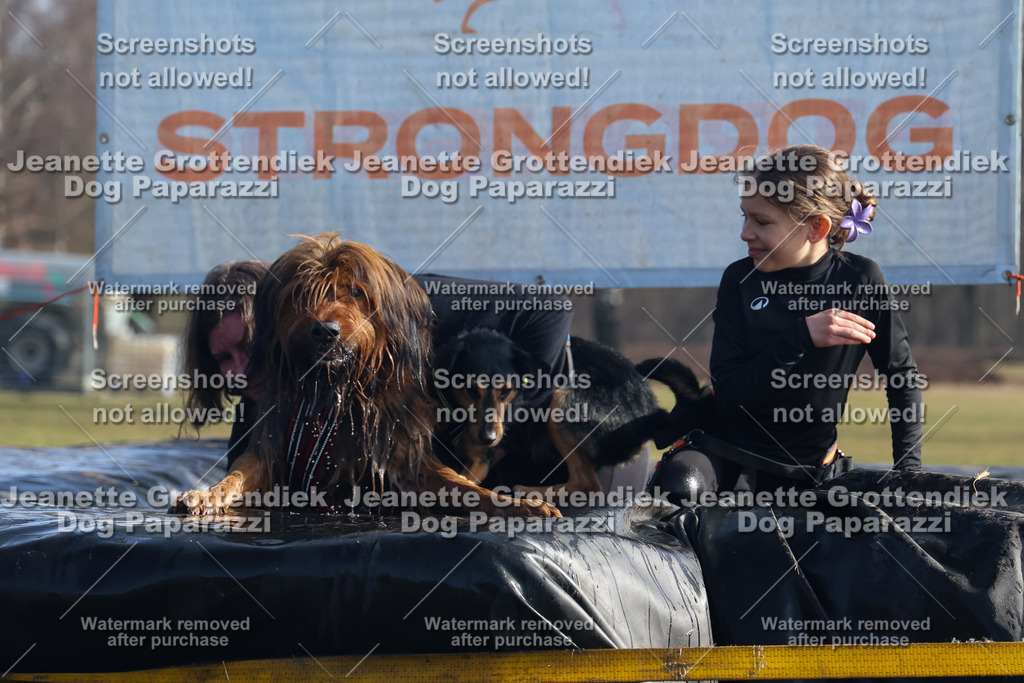 Dog Paparazzi - Strongdog North Mrz26-1297 | Dog Paparazzi Jeanette Grottendiek Fotografie & Videografie - Realisiert mit Pictrs.com