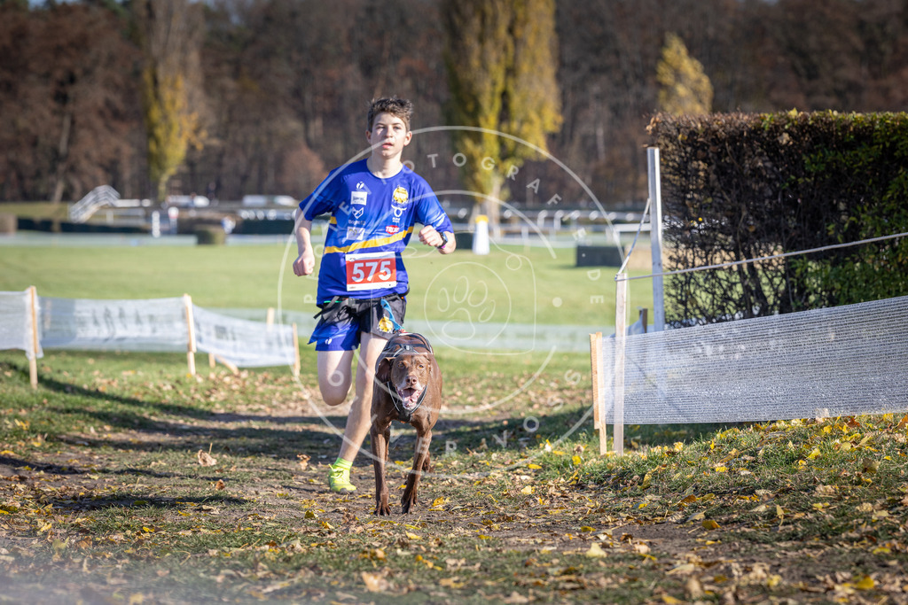 CaniXpix_DV3A8945 | Hundefotografie, Tierfotograf, Pfotenfotografie, Fotoshooting Hund, Hunde Portrait, Hundesport, Hundeportraits, Heideshooting, Hunde, Sportfotograf, Hundefotograf, Turnierhundsport, THS,  - Realisiert mit Pictrs.com