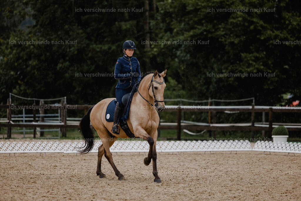 Diana11_FHC2025-25004 | working equitationturnier fotograf videograf stoibphotography marixx film working equitation deutschland reitsport turnierfotografie eventfotografie equestrian events