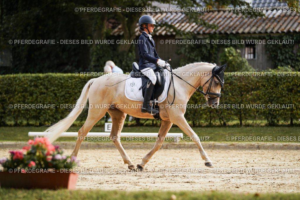 DSC04861 | Pferdegrafie