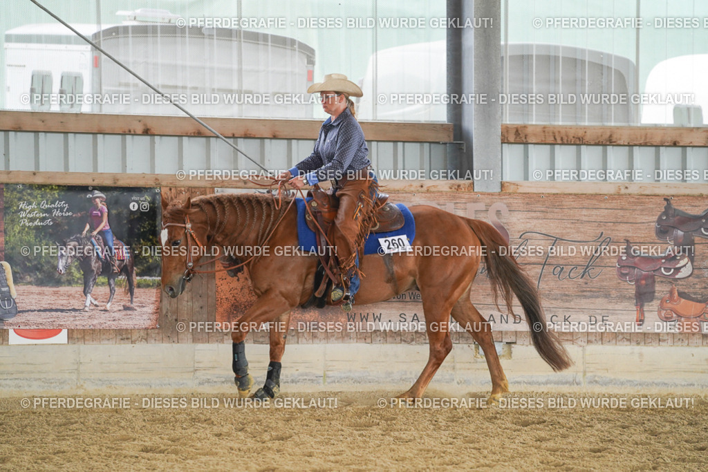 DSC05534 | Pferdegrafie