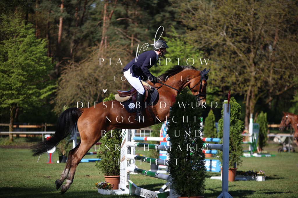 IMGT0211 | pl-fotografie