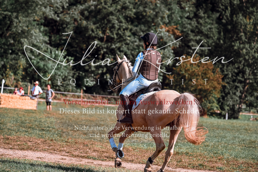 DSC_1116 | Pferde- und Turnierfotografie in Westsachsen. Pferdeportraits, Auftragszeichnungen und intuitive Kunst.