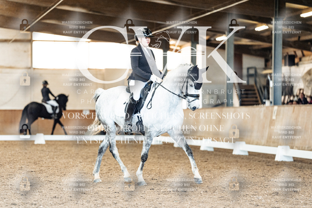 CK909580 | Turnierfotografie Pferdefotografie Trier Rheinland-Pfalz Pferdesport Reitsport Tierfotografie Sportfotografie Pferdevideo Pferdevideografie Equestrianvideography equestrianphotography  - Realisiert mit Pictrs.com