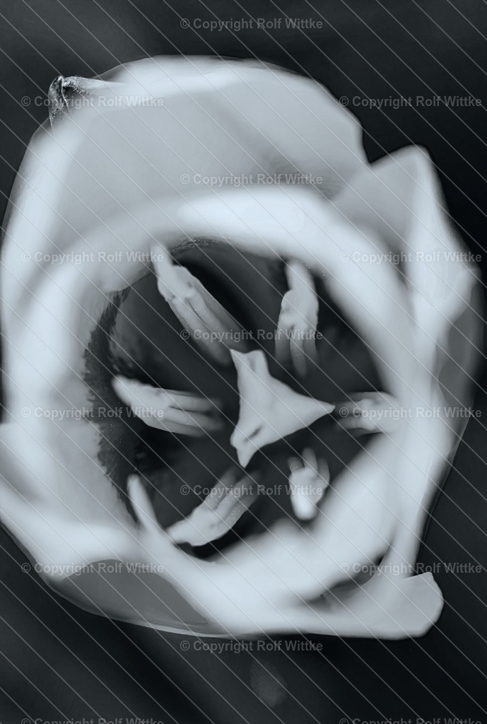 _Flora2 | Rolf Wittke  - Realisiert mit Pictrs.com