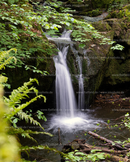 Wasserfall im Morgenbachtal | Landschaftsfoto Wasserfall im Morgenbachtal (Binger Wald)