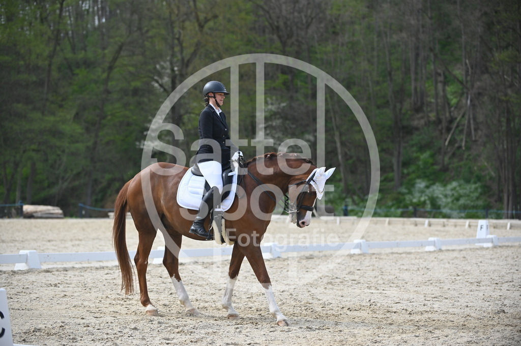 DSC_4717 | sattelsport - Realisiert mit Pictrs.com