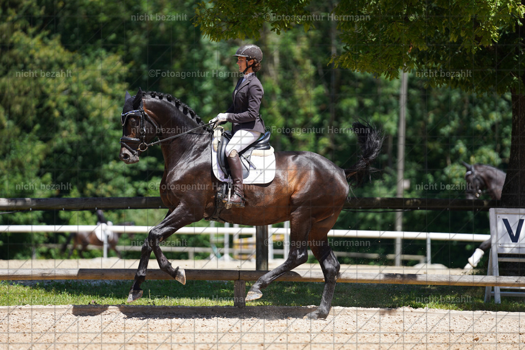 20240705-FAH03657 | Turnierbilder von Grafing, Reitsportbilder, Turnierfotos, Turnierfotografen Bayern, Pferdefotograf, Fotoagentur Herrmann