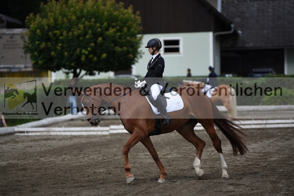 DSC_5116 | equestrian-live-com