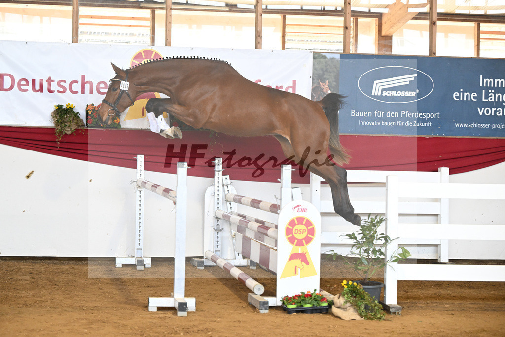 Kat-Nr. 43 Ehawee v. Colestus_Fischer_16251017 | hf-fotografie - Realisiert mit Pictrs.com